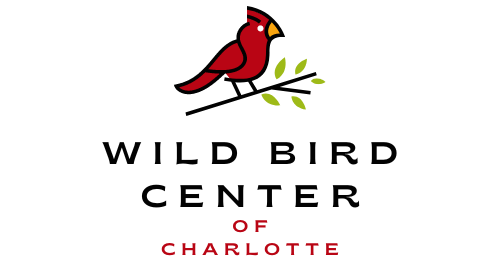 Wild Bird Center of Charlotte